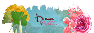 domaine linotte